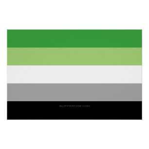SlipperyJoe's Aromantic Pride Flag gay gifts LGBTQ Poster