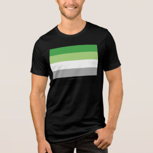 SlipperyJoe's Aromantic Pride Flag gay gifts LGBTQ Tri-Blend Shirt
