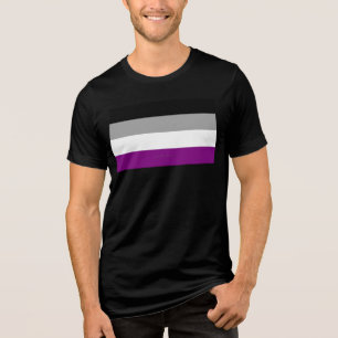 SlipperyJoe's asexual pride flag emphasising inclu Tri-Blend Shirt
