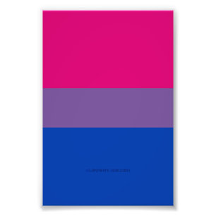 SlipperyJoe's Bisexual Pride Flag colours magenta  Photo Print