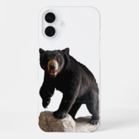 SlipperyJoe's black bear thick dark fur majestic r