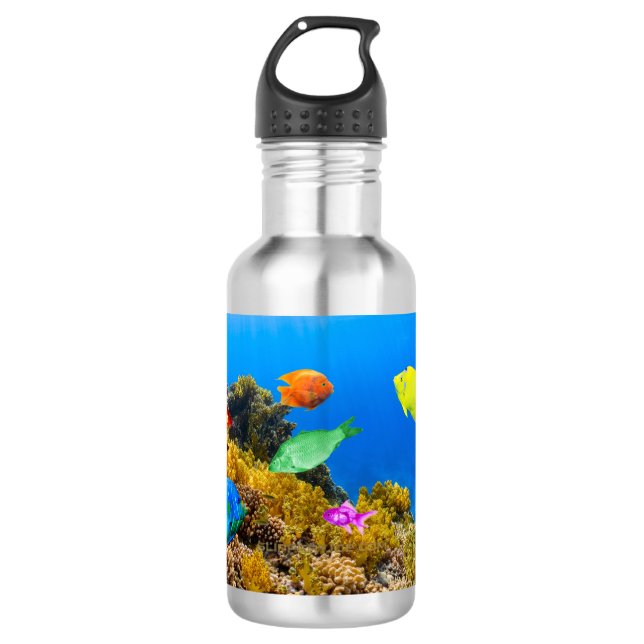 SlipperyJoe's Fish Pride tropical green blue purpl 532 Ml Water Bottle (Front)