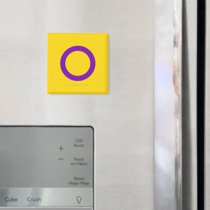SlipperyJoe's Intersex pride flag yellow backgroun Magnet