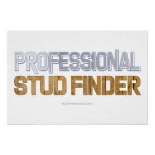 SlipperyJoe's Professional Stud Finder wood 3-D th Poster