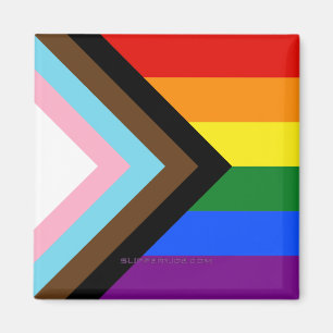 SlipperyJoe's Progress Pride Flag six classic hori Magnet