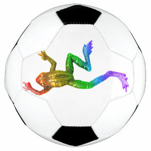 SlipperyJoe's rainbow coloured frog rendered sculp Football
