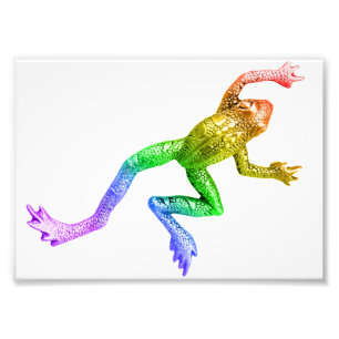 SlipperyJoe's rainbow coloured frog rendered sculp Photo Print