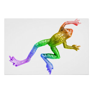 SlipperyJoe's rainbow gradient frog vibrant amphib Poster
