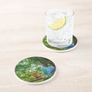 SlipperyJoe's rhinoceros lush tropical setting pri Coaster
