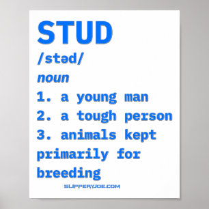 Slipperyjoes Stud Definition Animals Dictionary B  Poster