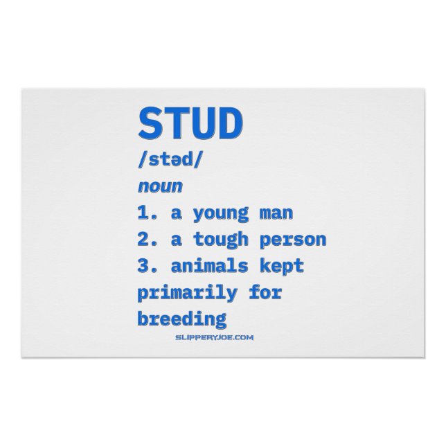 SlipperyJoe's stud definition animals dictionary b Poster (Front)