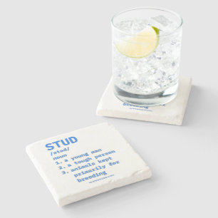 SlipperyJoe's stud definition animals dictionary b Stone Coaster