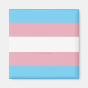 SlipperyJoe's transgender pride flag diversity rig Magnet