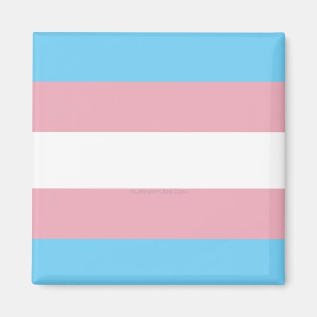 SlipperyJoe's transgender pride flag diversity rig Magnet (Front)