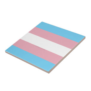 SlipperyJoe's transgender pride flag diversity rig Tile