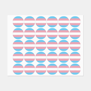 SlipperyJoe's transgender pride flag visibility di