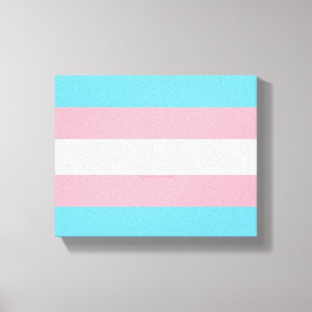 SlipperyJoe's transgender pride flag visibility di Canvas Print (Front)
