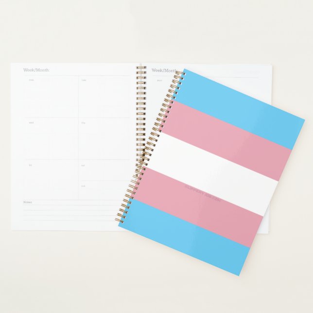 SlipperyJoe's transgender pride flag visibility di Planner (Display)