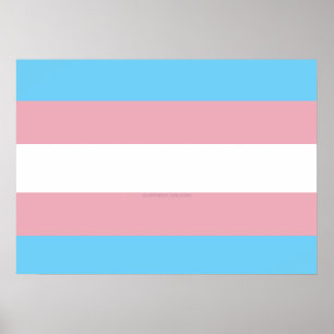 SlipperyJoe's transgender pride flag visibility di Poster