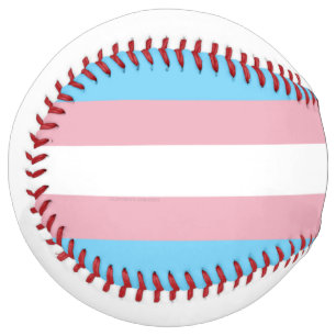 SlipperyJoe's transgender pride flag visibility di Softball