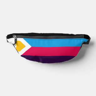 SlipperyJoe's tricolor polyamory pride flag three Bum Bags