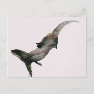 Slipstream Postcard