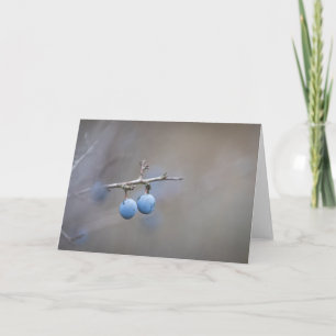 Sloe Berries Nature Photo Card