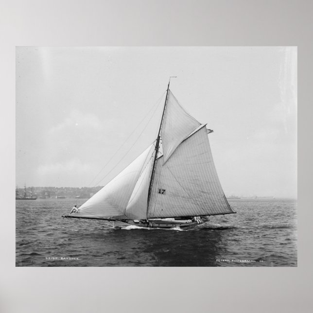 Sloop Banshee Poster (Front)