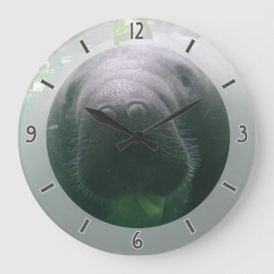 Sloppy Manatee Clock large round