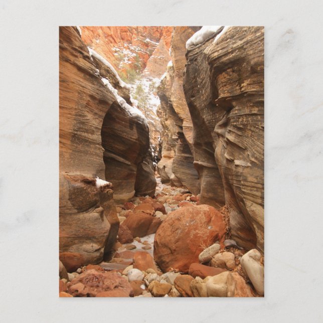Slot Canyon in Zion National Park Postcard (Front)