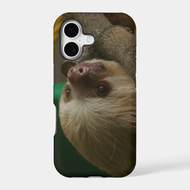 Sloth (Back)