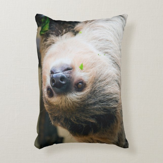 Sloth 001 decorative cushion (Front(Vertical))