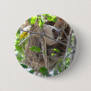 sloth 6 cm round badge