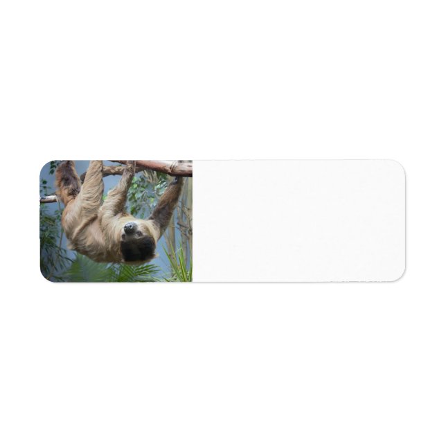 Sloth Address Labels (Front)