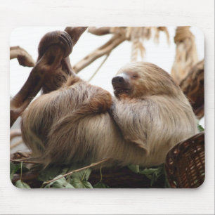 Sloth animal cute. mouse mat