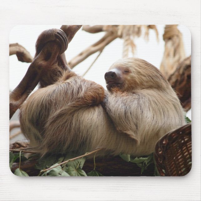 Sloth animal cute. mouse mat (Front)