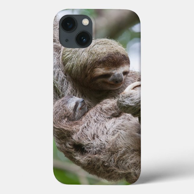 Sloth Baby with Mother Hanging from a Tree Case-Mate iPhone Case (Back)