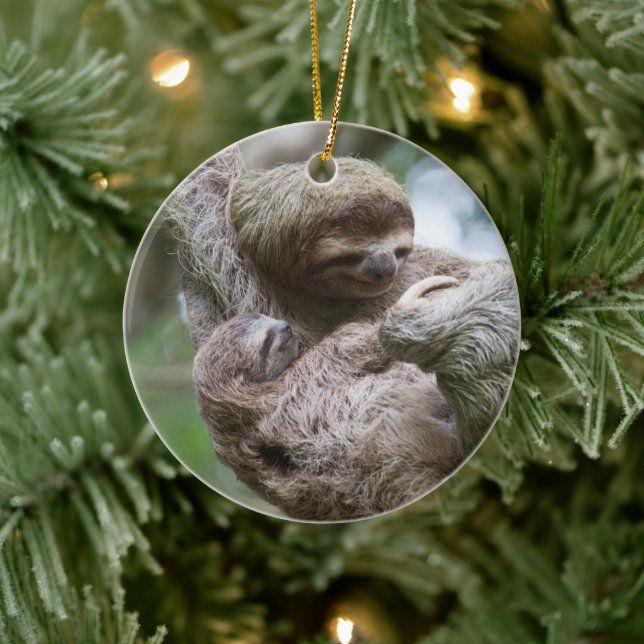 Sloth Baby with Mother Hanging from a Tree Ceramic Tree Decoration (Tree)