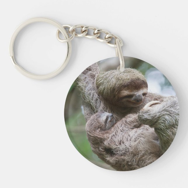 Sloth Baby with Mother Hanging from a Tree Key Ring (Front)