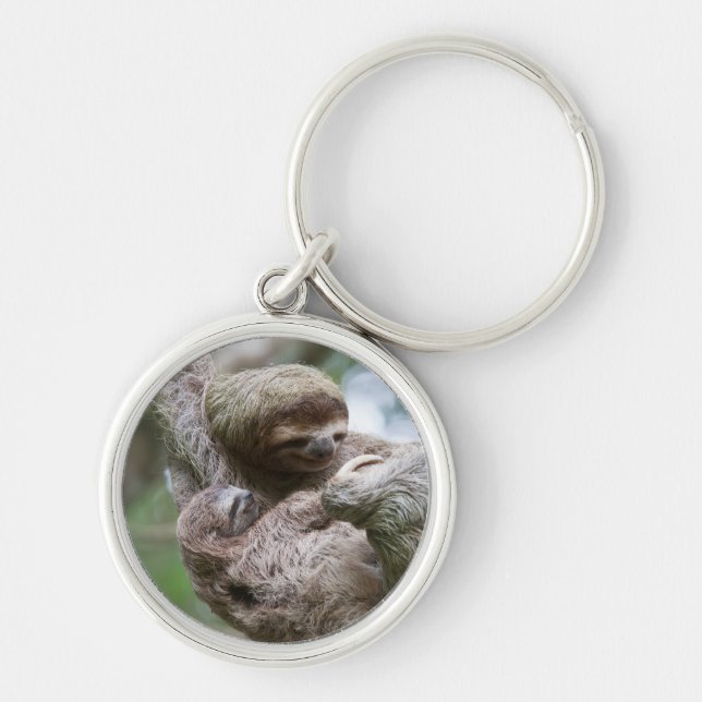 Sloth Baby with Mother Hanging from a Tree Key Ring (Front)