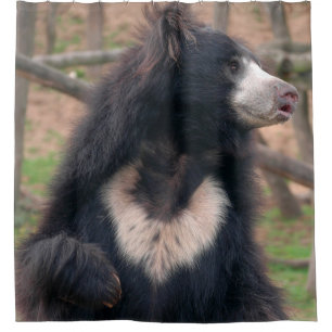 Sloth Bear Shower Curtain