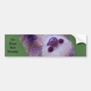 Sloth Bumper Sticker