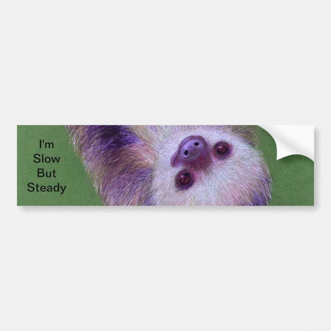 Sloth Bumper Sticker (Front)