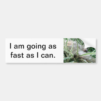 sloth bumper sticker