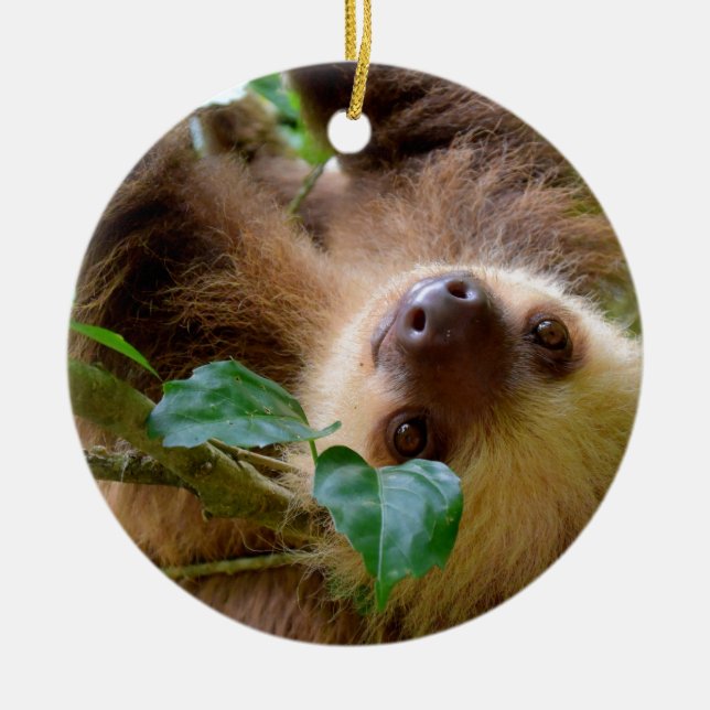 Sloth & Capybara Ceramic Tree Decoration (Front)
