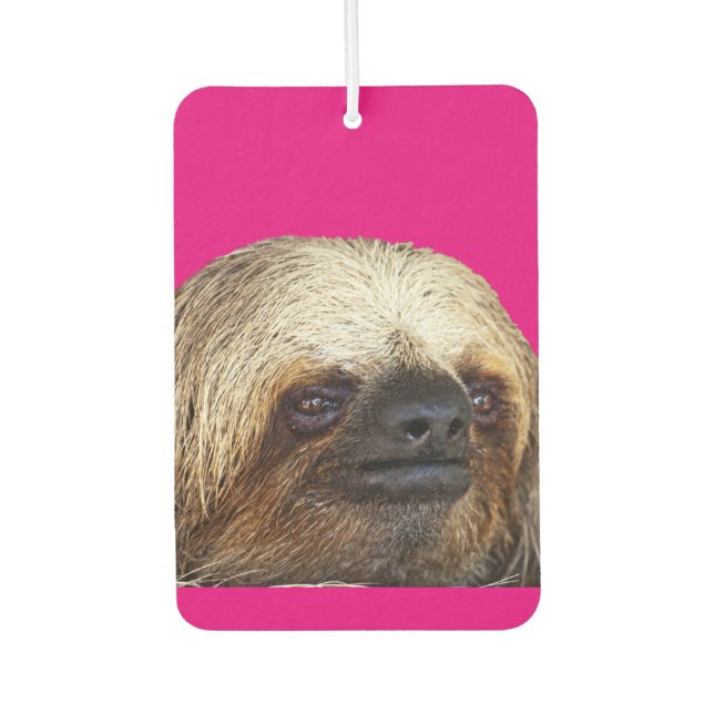 Sloth Car Air Freshener (Front)