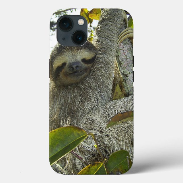 Sloth Case-Mate iPhone Case (Back)