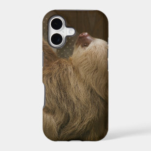 Sloth Case-Mate iPhone Case
