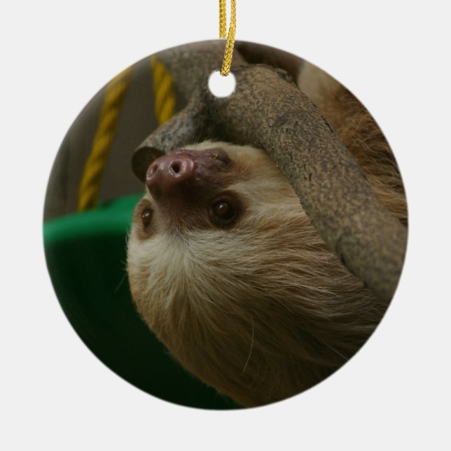 Sloth Ceramic Tree Decoration (Front)