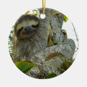 Sloth Ceramic Tree Decoration
